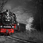 Wennedacher Fotos bei Bilderausstellung in Ochsenhausen erfolgreich