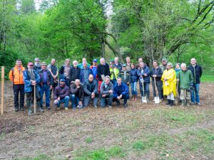 Rotarier und Wennedacher befreien Arboretum aus dem Dornröschenschlaf