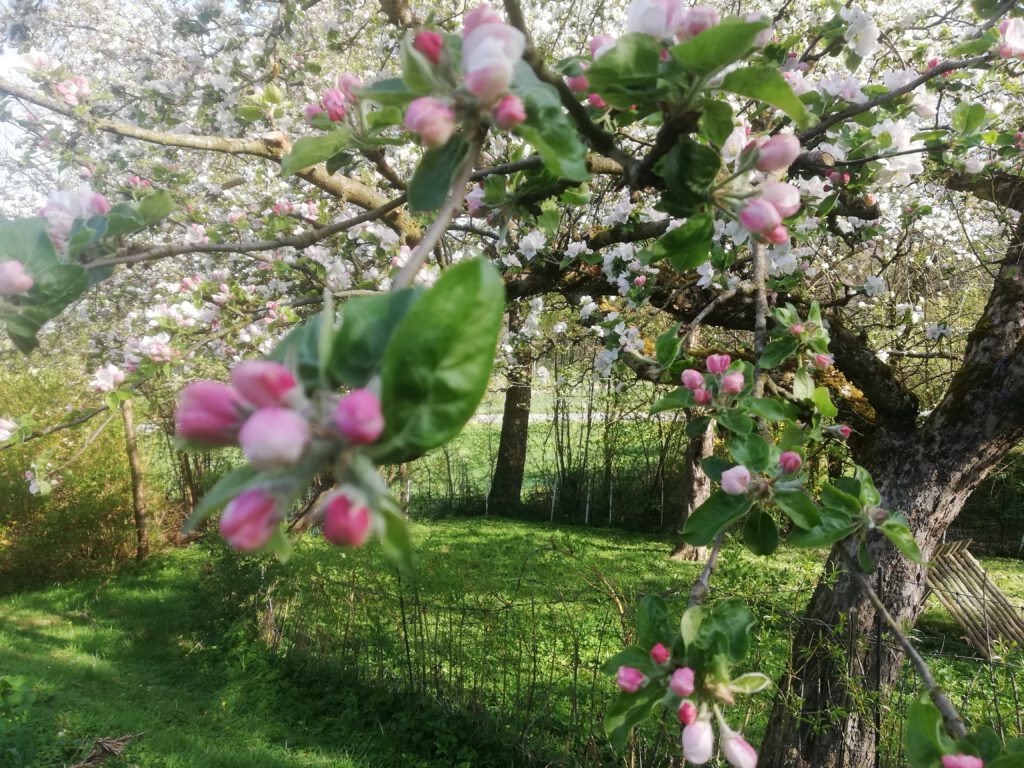 Was für ein Frühling