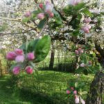 Was für ein Frühling